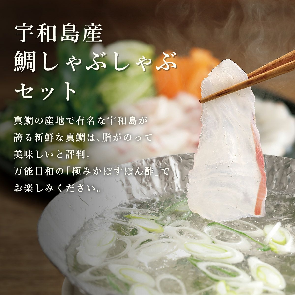 特選　宇和島産　鯛しゃぶしゃぶセット