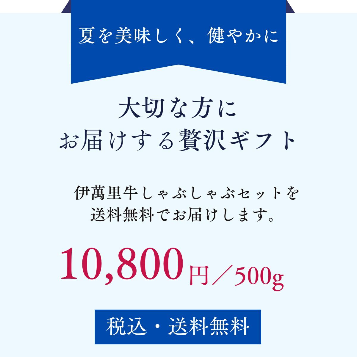 佐賀県　伊萬里牛しゃぶしゃぶセット　500g