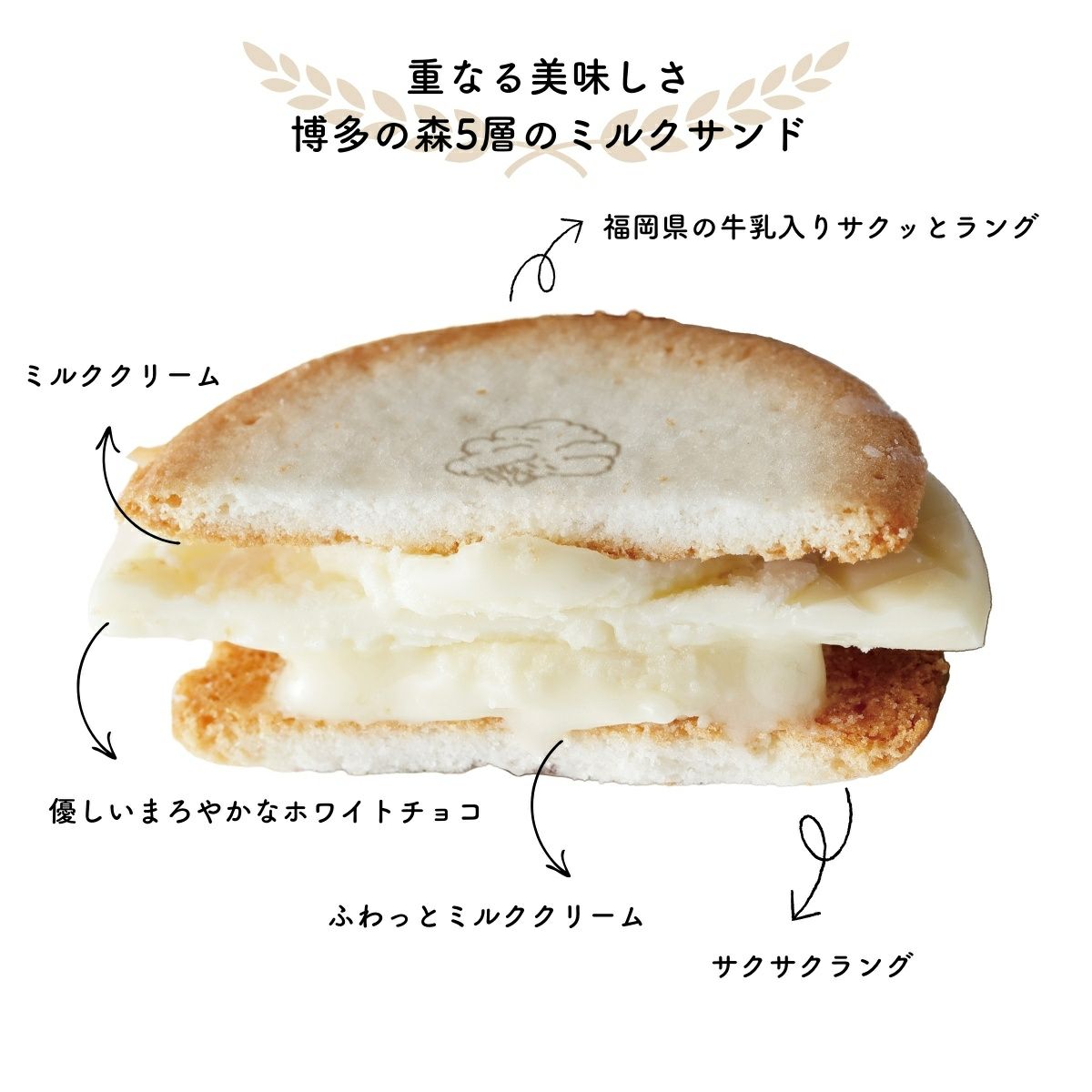 博多の森　5層のミルクサンド