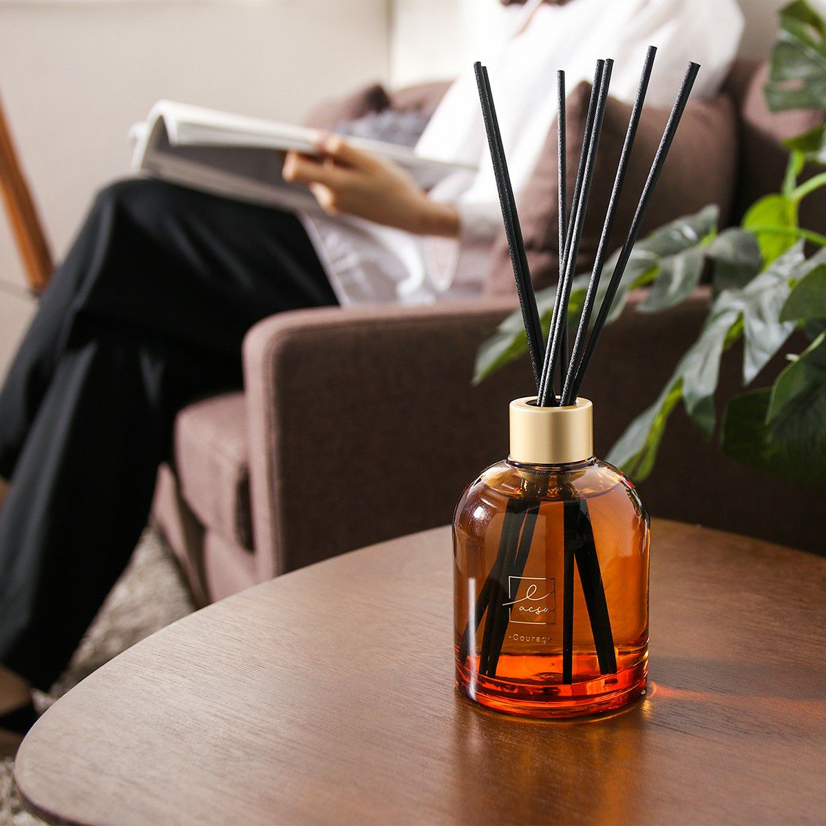 明徳庵　ララシャンス 内祝い　カタログギフト　tashinabi