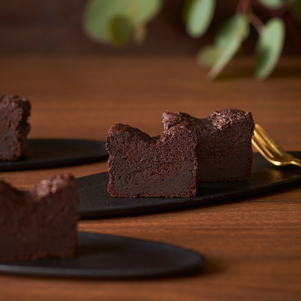 明徳庵　ララシャンス 内祝い　カタログギフト　tashinabi